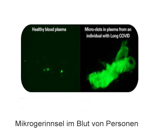 zahnarztkurfeurstendamm